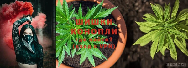 гашик Армянск