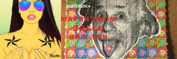 стафф Арсеньев