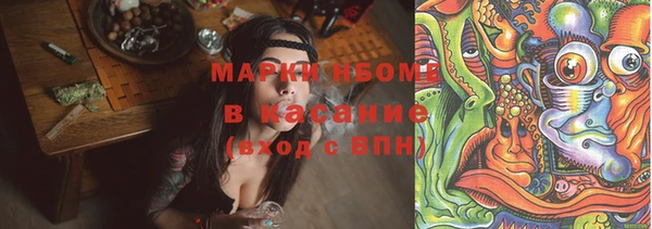 стафф Арсеньев