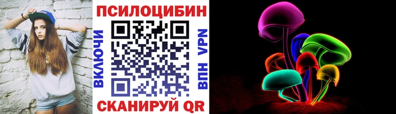 Псилоцибиновые грибы Psilocybe  закладка  Бабушкин 