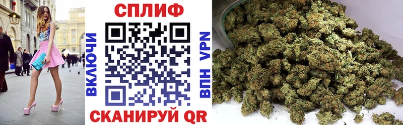 купить наркотики сайты  Бабушкин  Каннабис индика 